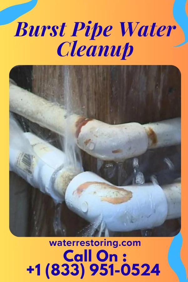 Burst Pipe Water Cleanup in Chase, PA