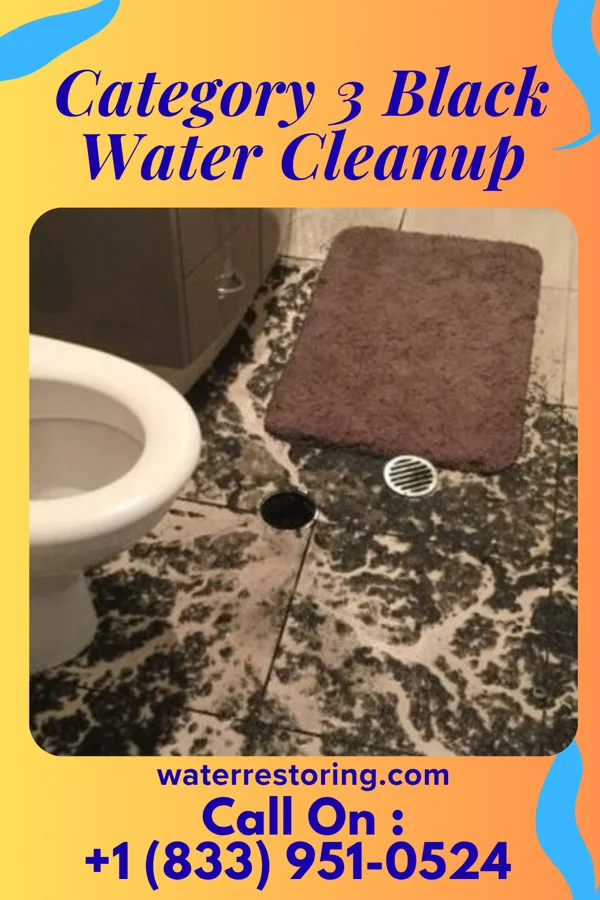 Category 3 Black Water Cleanup in Chase, PA