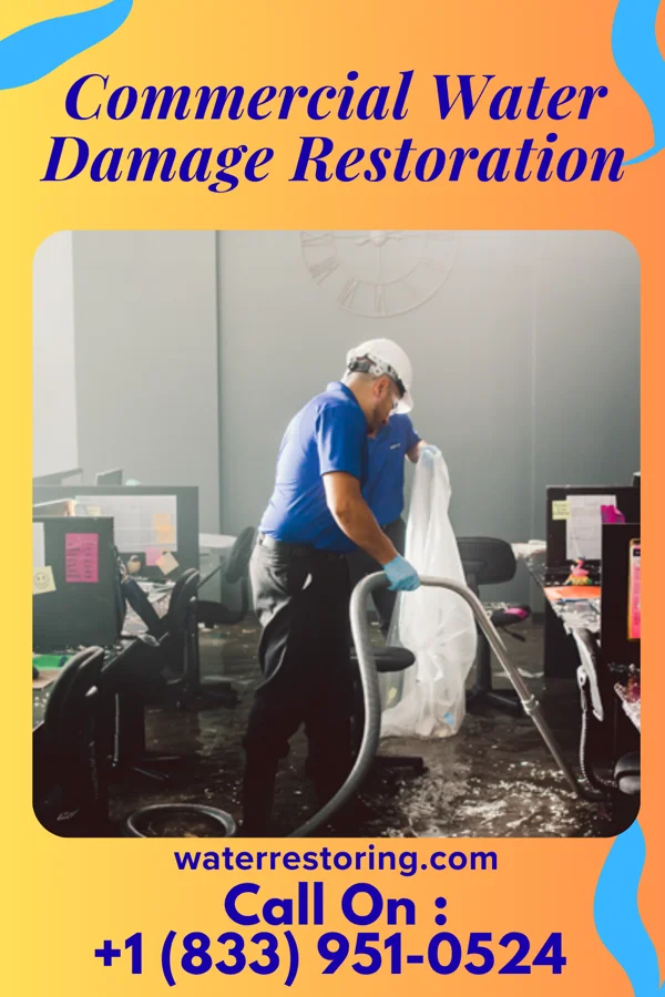 Commercial Water Damage Restoration in Chase, PA