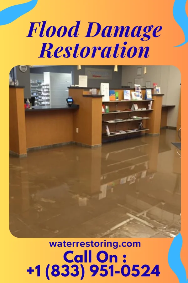 Flood Damage Restoration in Chase, PA