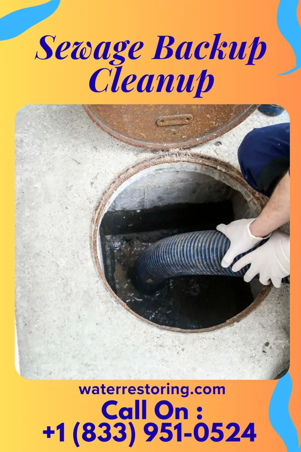 Sewage Backup Cleanup in Chase, PA