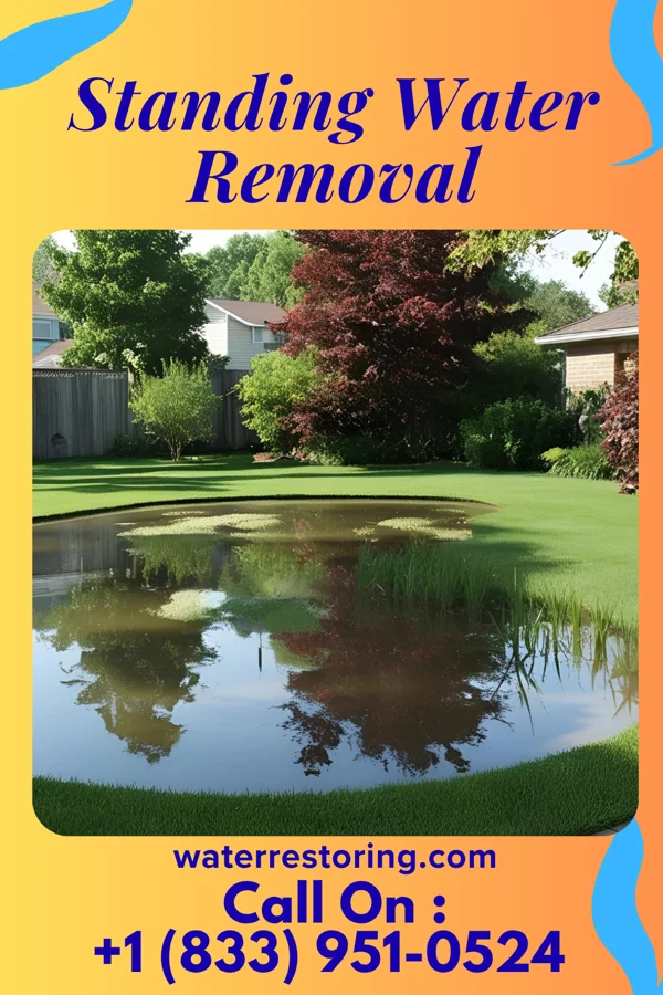 Standing Water Removal in Chase, PA
